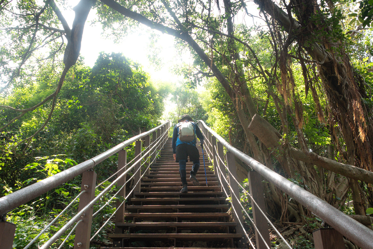 高雄 柴山登山步道